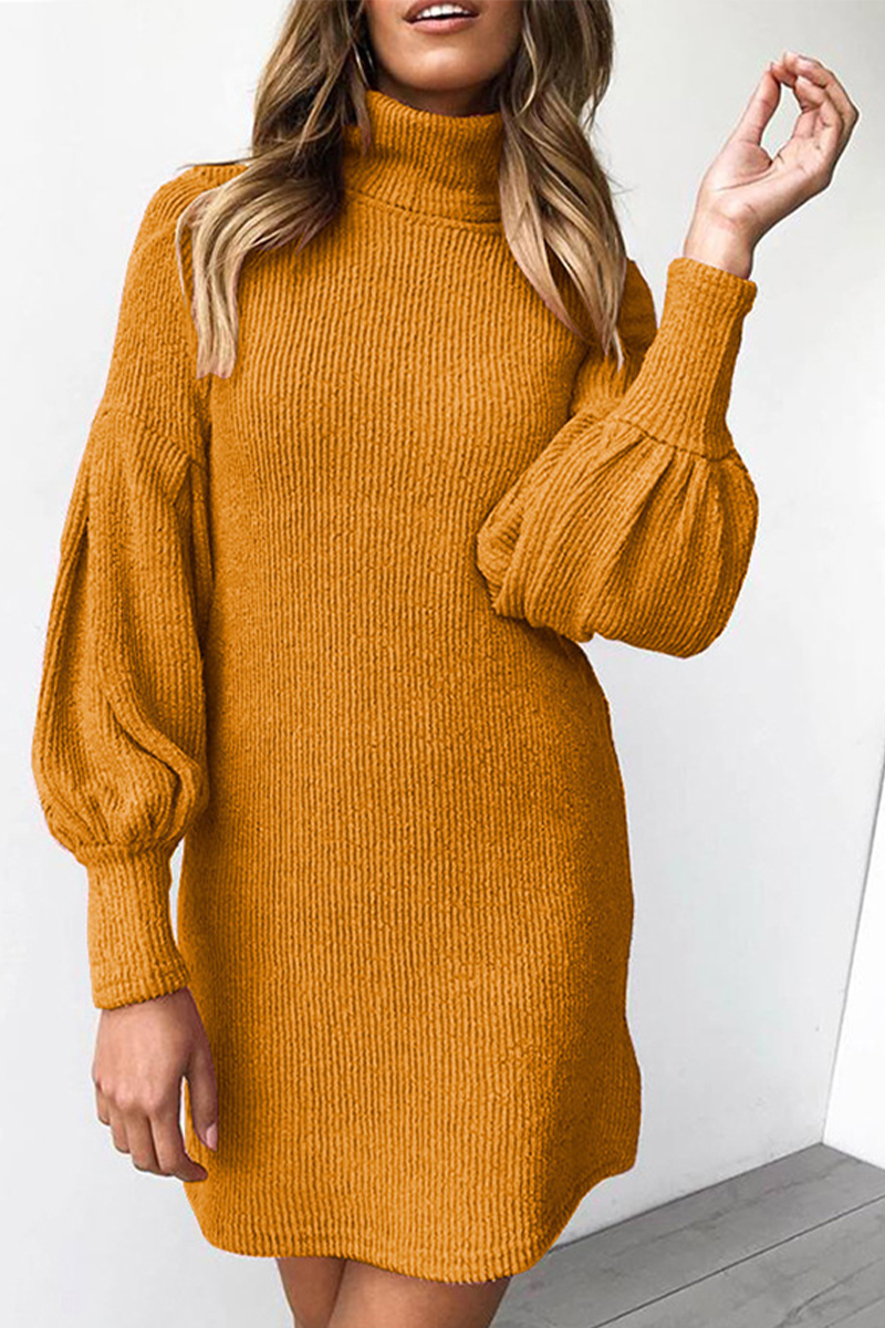 Lange Ärmel Rollkragenkleid für Damen