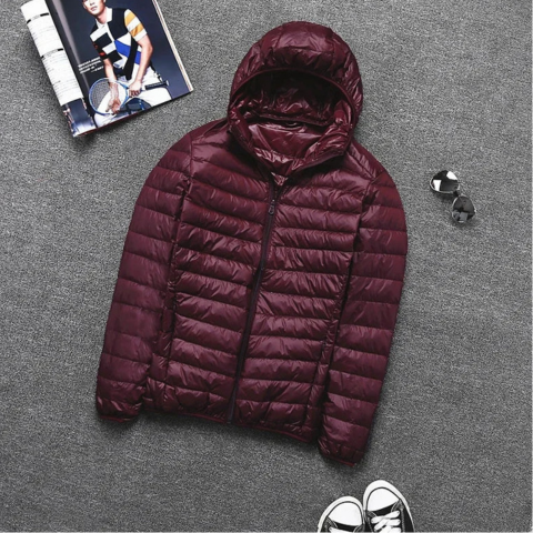 Henrico | Herren Winter Kapuzen-Pufferjacke | Leichtgewicht