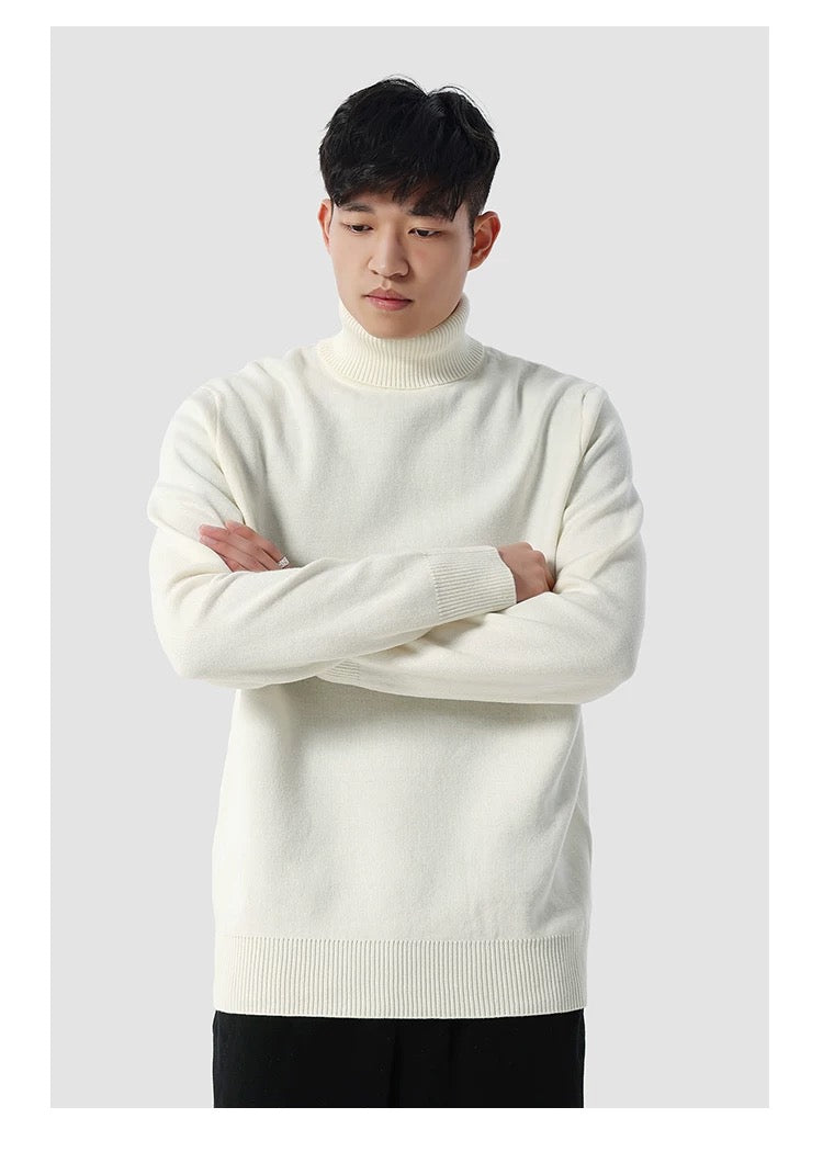 Klassischer Herren Rollkragenpullover – Weicher Winterpullover mit Zeitlosem Design
