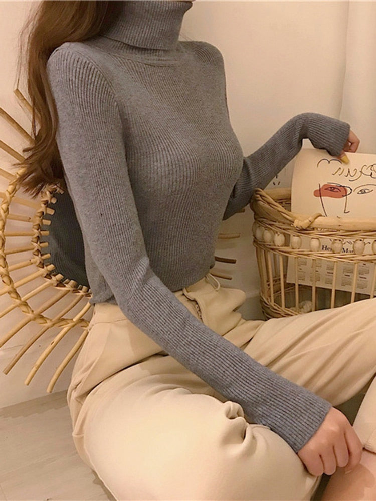 Sandy - Lässiger Winter Bequemer Rollkragenpullover für Damen